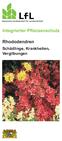 Integrierter Pflanzenschutz. Rhododendren. Schädlinge, Krankheiten, Vergilbungen