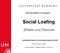Motivationseffekte in Kleingruppen. Social Loafing. Effekte und Theorien. Vertiefendes Seminar zur Sozialpsychologie SoSe 2007
