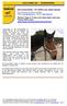 Weitere Tipps & Tricks und vieles mehr rund ums Thema Pferd unter: www.hadel.net/reitertreff/reitertreff.html