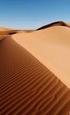 Die Sandwüste Die Lebensbedingungen in der Sandwüste sind härter als in anderen Wüsten. Die Oberfläche besteht überwiegend aus Quarzsand. Die größte S