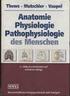 Grundlagen - Anatomie, Physiologie und Pathophysiologie des Schmerzes 1 Unterrichtseinheit