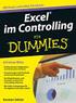Excel im Controlling