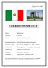 ERFAHRUNGSBERICHT. Tecnológico de Monterrey ( TEC ), Mexiko Fahrzeugtechnik, Schwerpunkt Fahrzeugbau
