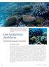 Das Gedächtnis der Meere. Korallenriffe speichern Klimadaten. Forschung intensiv. von Eberhard Gischler