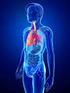 Pulmonale Arterielle Hypertonie Eine therapeutische Herausforderung