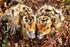 Ein internationaler Artenschutzplan für den Löffelstrandläufer (Calidris pygmeus)