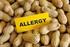 »What s new in allergy«
