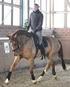 Die Ausbildung zum Pferdewirt Fachrichtung: Klassische Reitausbildung Pferdehaltung und Service Pferdezucht Bundesvereinigung der Berufsreiter im