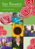 fair flowers Mit Blumen für Menschenrechte Hintergrundbroschüre