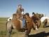 Nomaden im Sattel. In der einsamen Gobi-Wüste Sand und Kamele bis zum Horizont. 44 TOURENFAHRER 12/ /2012 TOURENFAHRER 45