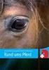Ein Portrait des Schweizerischen Verbandes für Pferdesport Rund ums Pferd