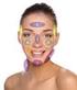 Inhaltsverzeichnis. 1 Gesicht Nasenregion und Mittelgesicht Mund Ohr Haut und Alterung des Gesichts...