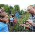 Erlebnisreicher Familienurlaub im Schwarzwald