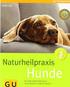 Naturheilkunde und schnelle Hilfe beim Hund. Tierärztin Dr. Elisabeth Stöger