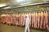 ifo Agrar Branchenbericht Schweinehaltung