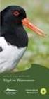 Rastvögel im Nationalpark Wattenmeer