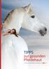TIPPS zur gesunden Pferdehaut. bei Hautpilz, Sommerekzem und Mauke