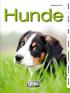 Liebe Hundefreunde, grau interaktiv. Genuss pur Nassnahrung Trockennahrung Gesundheit Gelenke Haut & Fell Hokamix 30