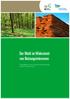 Der Wald im Widerstreit von Nutzungsinteressen. Herausgeber: Forum Umwelt und Entwicklung Autorin: Franziska Tucci