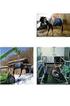Entwicklung eines verbesserten Hängegeschirrs für Pferde: Das Tier - Bergungs- und Transportnetz (TBTN)
