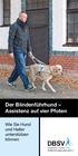 Der Blindenführhund Assistenz auf vier Pfoten