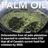 Fair Fuels? Working Paper 6 Palmölproduktion in Pará Eine neue, grüne Landnahme?
