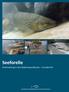 Seeforelle. Arterhaltung in den Bodenseezuflüssen Kurzbericht IBKF. Internationale Bevollmächtigtenkonferenz für die Bodenseefischerei