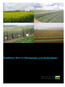 Feldführer 2011/12 Pflanzenbau und Sortenwesen