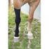 Fragebogen zu angelaufenen Beinen bei Pferden