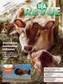 Futtertrog. Zusatzstoffe im Tierfutter. Editorial. Inhalt. Durchschnittliche tägliche Zunahme (g)