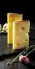 Käse: Markt, Produktion, Hygiene, Wirtschaftlichkeit und Nachhaltigkeit 19. Ahlemer Käseseminar