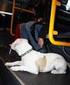 Polizeiverordnung über den Schutz der Bevölkerung vor gefährlichen Hunden im Saarland vom...