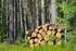 Hauptfeststellung der Einheitswerte für die Landund Forstwirtschaft 2014