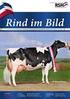 Eigenkontrolle nach TierSchG 11 (8) bei Milchkühen. Vorbemerkung