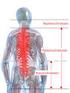 Rückenschmerzen an der Lendenwirbelsäule