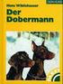 Dobermann - Rassekennzeichen
