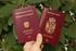 Die Bedeutung der Einbürgerung in Österreich Staatsbürgerschaft als Abschluss einer geglückten Integration?