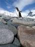Antarktis Eisberge, Einsamkeit und Pinguine