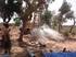 Wasser ist nicht gleich Wasser Brunnenbau in Guinea-Bissau
