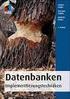 Matthias Schubert. Datenbanken. Theorie, Entwurf und Programmierung relationaler Datenbanken. 2., überarbeitete Auflage. Teubner