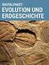 Evolution der Säugetiere (Mammalia): Molekularbiologie versus Paläontologie