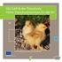 Fünfte Verordnung. zur Änderung der Tierschutz-Nutztierhaltungsverordnung 1. vom...