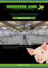 Mastschweine. Genugten Agri B.V. ist in der Bau und Einrichtung moderner Schweinebetriebe spezialisiert.