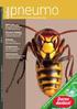 Insektengiftallergie. Einleitung. Symptomatik. J.O. Steiß und H. Lindemann