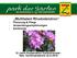 Multitalent Rhododendron - Pflanzung & Pflege - Verwendungsempfehlungen - Sortimente