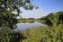 Der Kühnauer See Sanierung eines Altwassers Biosphärenreservat Flusslandschaft Mittlere Elbe