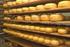 Produktion von Käse aus Bio-Milch in einer Großkäserei
