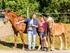 Der Rücken des Pferdes Basis für ein belastbares Sportpferd / Voltigierpferd. Dr. Kai Kreling, Tierärztliche Klinik Binger wald, Waldalgesheim