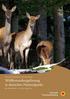 ABSCHLUSSDOKUMENTATION DER TAGUNG. Wildbestandsregulierung in deutschen Nationalparks