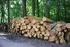 Gesetz gegen den Handel mit illegal eingeschlagenem Holz (Holzhandels-Sicherungs-Gesetz - HolzSiG)